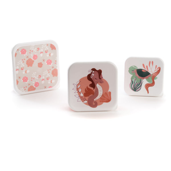 Set de 3 Boîtes à goûter Vénus